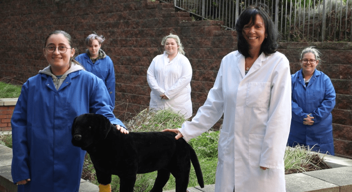 Level 2 Animal Care students from South Eastern Regional College have been highlighting the potential dangers to pets and animals during the Halloween festivities.